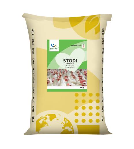 Stodi-1